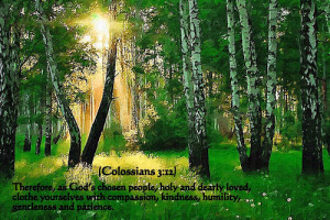 Colossians 3 12