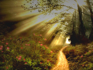 Mat 7:14 GNB But the gate to life is narrow and the way that leads to it is hard, and there are few people who find it. 